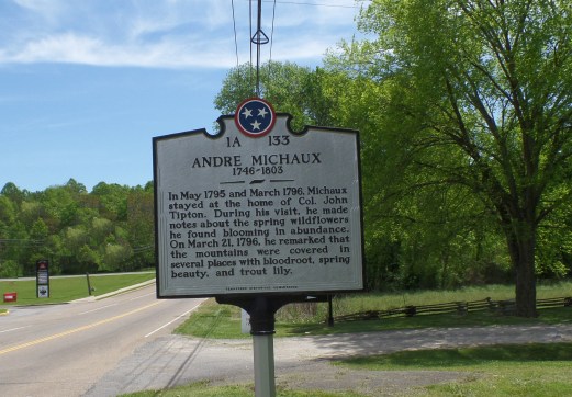 Andre Michaux