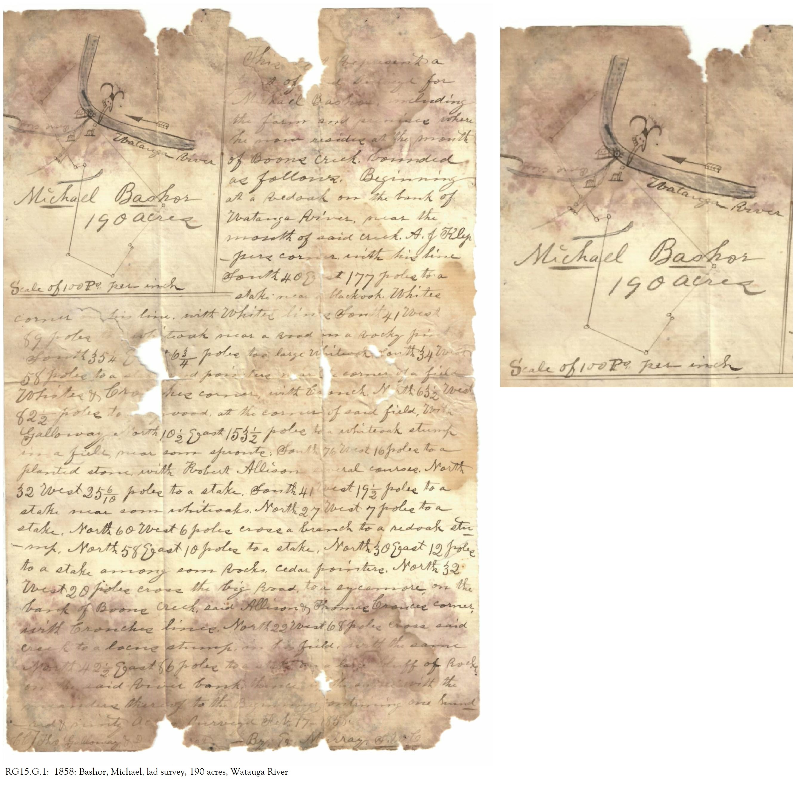 bashor, michael 1 web